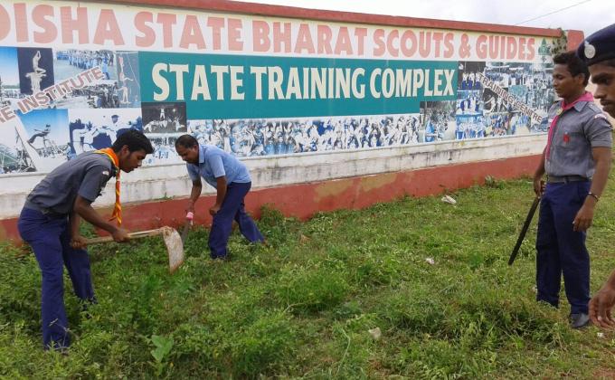 TREES FOR PEACE..INTERNATIONAL PEACE DAY..