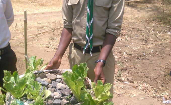 Sustainable agriculture Tanzania 