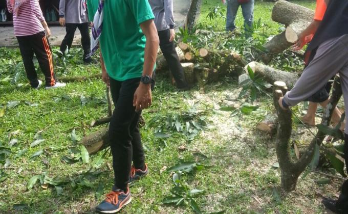 Membersihkan ranting dan daun