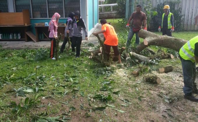Bergotong-royong membersihkan ranting-ranting dan daun-daun