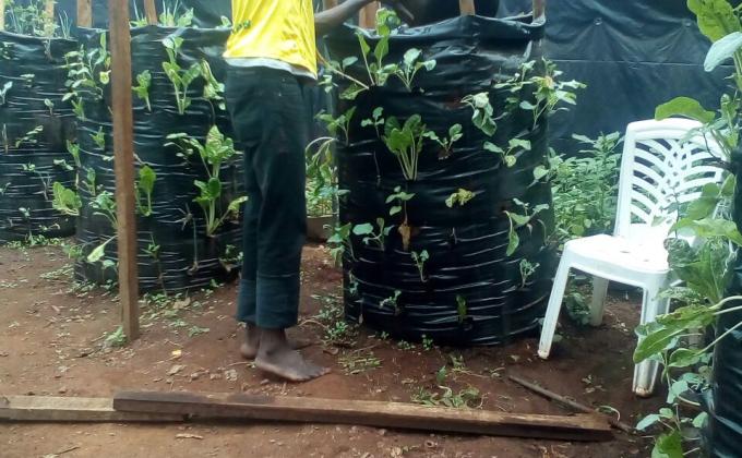 Food for life Project - Vegetable Farm