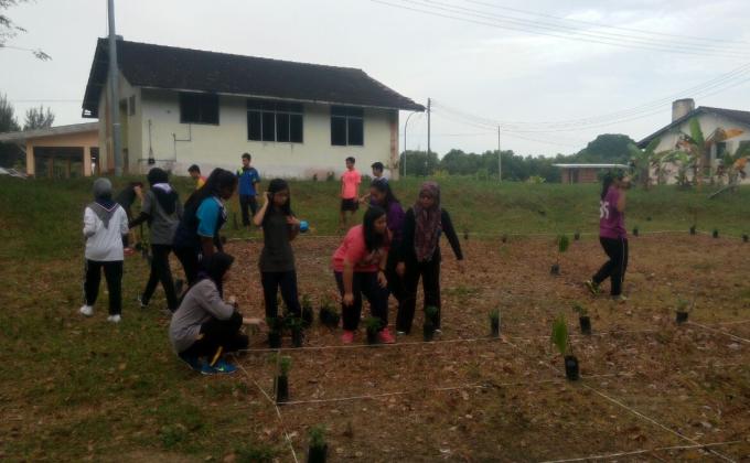 penanaman pokok