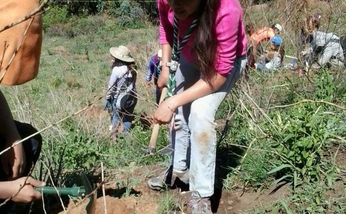 ¡A TODO ARBOL!: REFORESTACIÓN DE LAS LADERAS DE APOTE NORTE