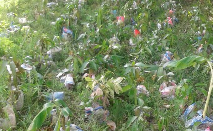 GREEN SCOUT,GREEN ZIMBABWE