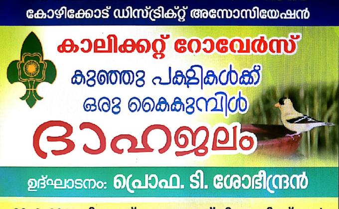 Water for Birds in Summer