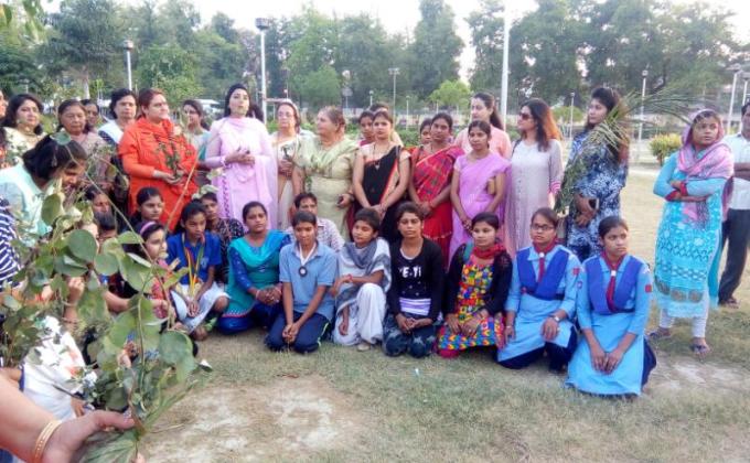 Tree plantation