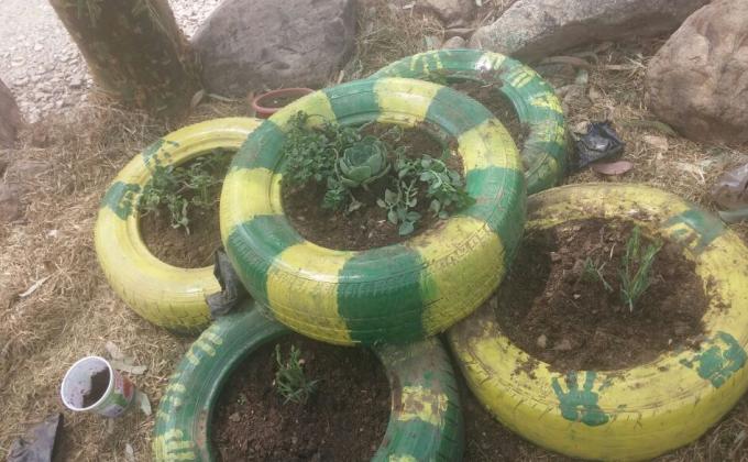 Jardineras Ecologicas
