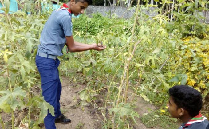 Kitchen Garden