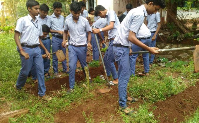 Environment Activity