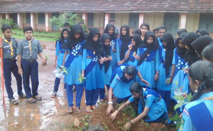 Environmental day celebrations