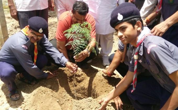 Tree Plantation 2017