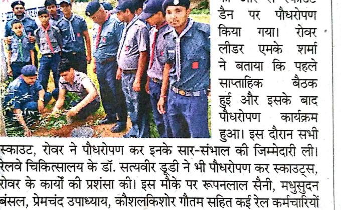 TREE PLANTATION 