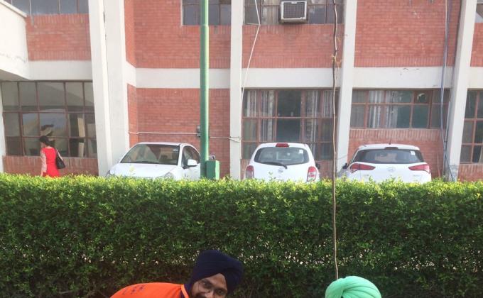 Tree Plantation