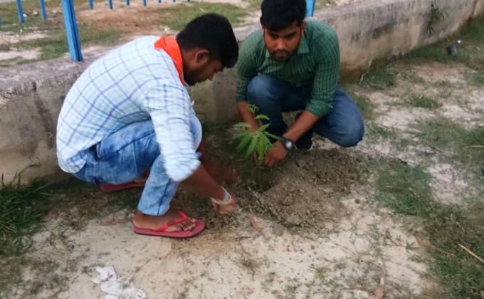 Environmental Project