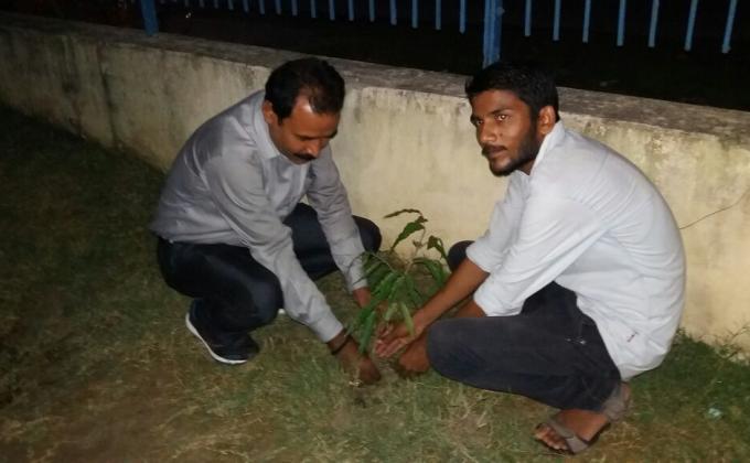 Tree Plantation on International Peace Day