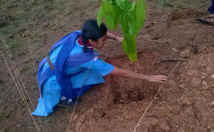 Ensure environmental sustainability 