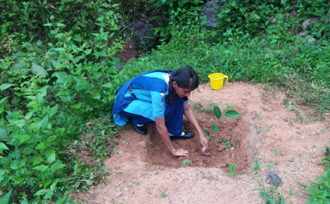 Ensure environmental sustainability 