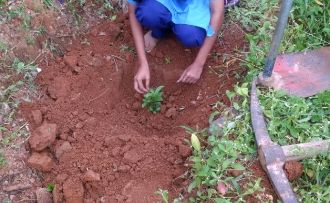 Ensure environmental sustainability 