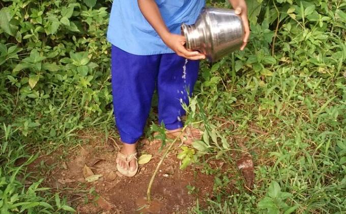 Ensure environmental sustainability 