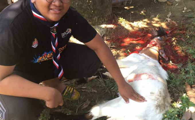 Qurban beramai-ramai 2017