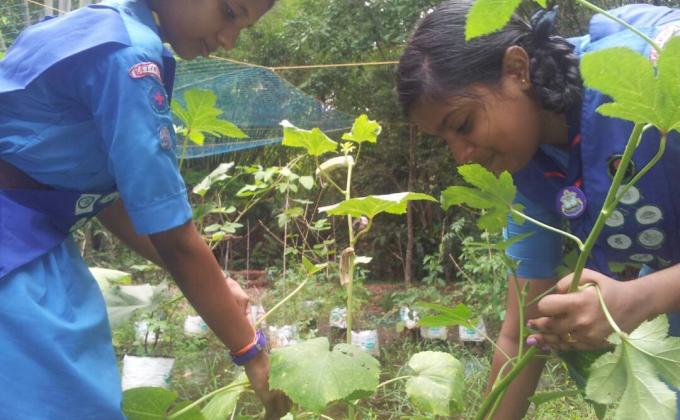 KITCHEN GARDEN