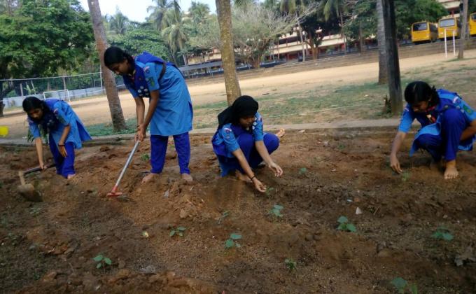 KITCHEN GARDEN 