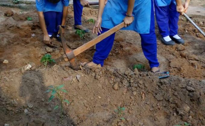 Ensure environmental sustainability 