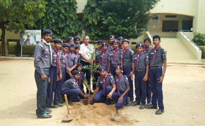 plant seeded in school ground
