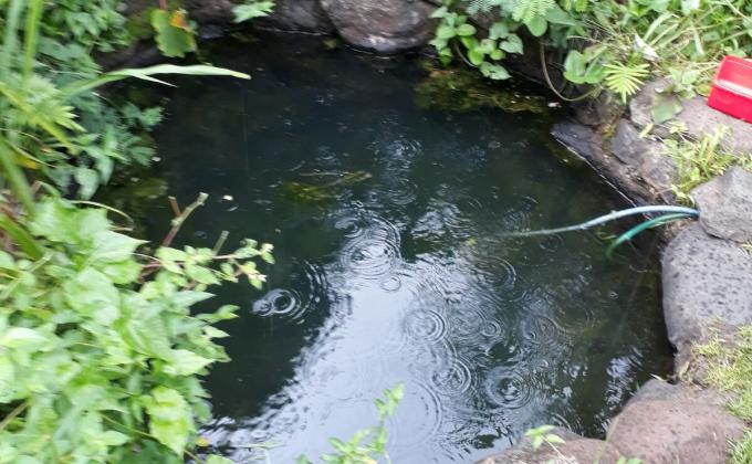 GIVE CLEAN WATER- PROJECT CONTINUATION