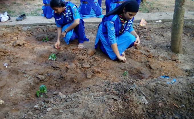 ENSURE ENVIRONMENTAL SUSTAINABILTY