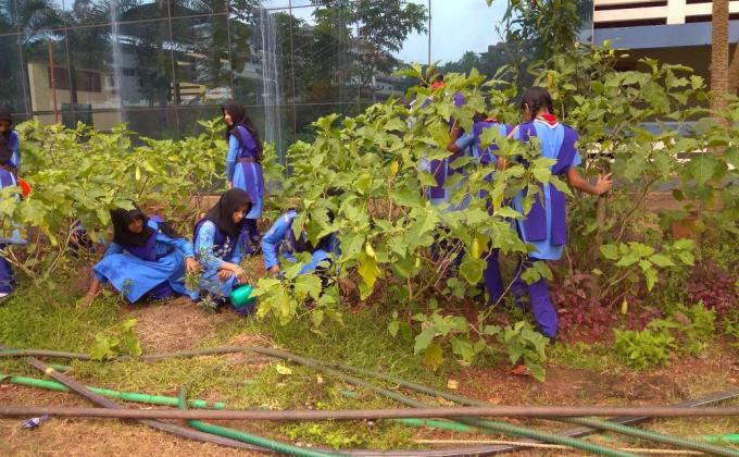 Ensure Environment sustainablity