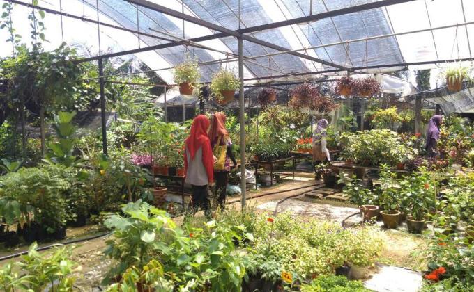 PROJEK ALAM SEKITAR