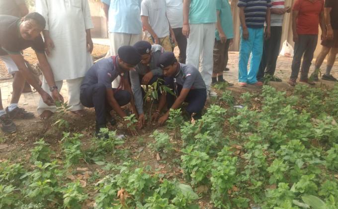 world environmental day
