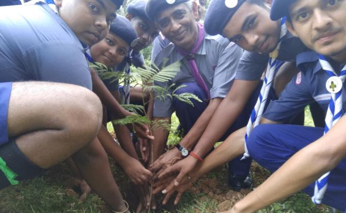 Today Tree Plantation for healthy Tomorrow
