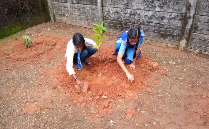 Vanamahotsav celebration at Bharath Scouts and Guides Udupi District Association office , Kadiyali , Udupi , Karnataka, India