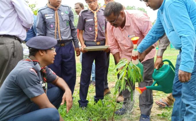 planting plants