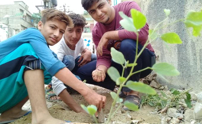 Plantation