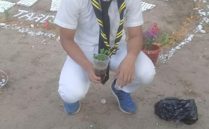 Tropa Buhos Reforestacion Av San Aurelio Santa Cruz