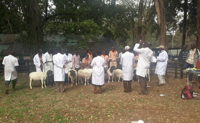 THE NAIROBI INTERNATIONAL TRADE FAIR