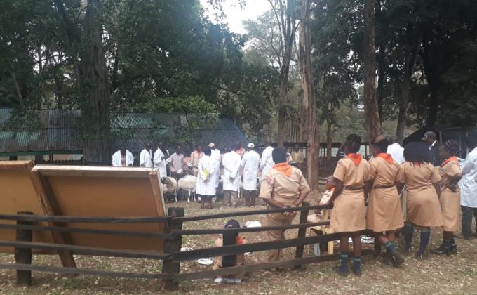 ANNUAL AGRICULTURAL SHOW, NAIROBI