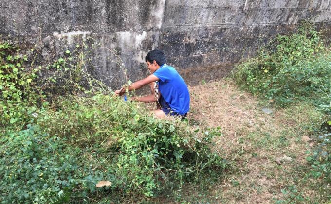 cleaning programme 
