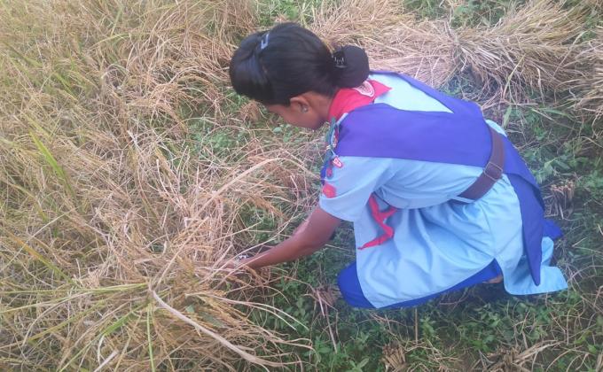 Working on the fields with farmers 