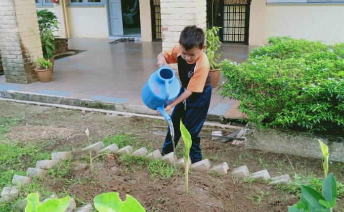 Projek berkebun ppki sk panching