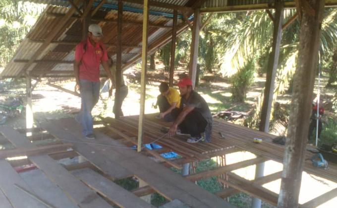 (Misa Island Goat Project: Update 15) Kerja Pemasangan Kayu Lantai Kandang