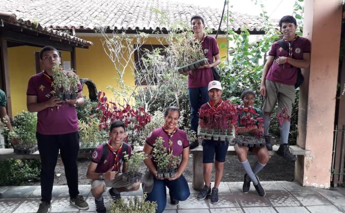  REVITALIZANDO O ESPAÇO ESCOLAR COM PLANTIO DE  MUDAS FRUTIFERAS E DECORATIVAS.