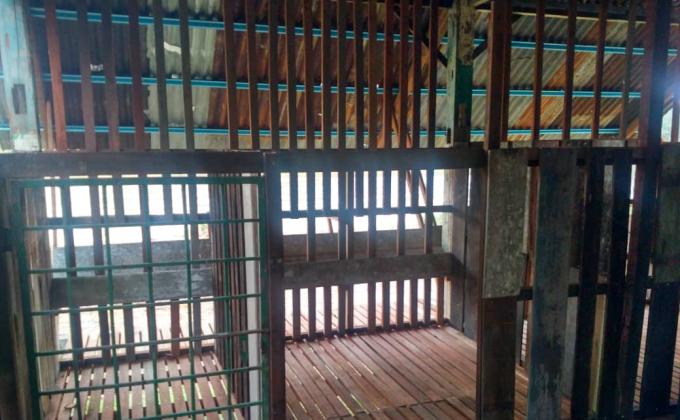 (Misa Island Goat Project: Update 17) Perbincangan Bakal Aktiviti Projek 