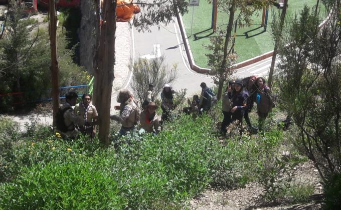 scouts en acción FORESTACIÓN potosí 