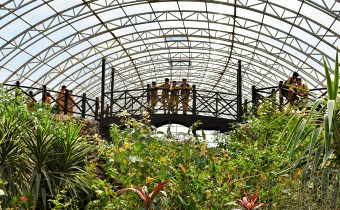 Study Tour of Botanical gardens