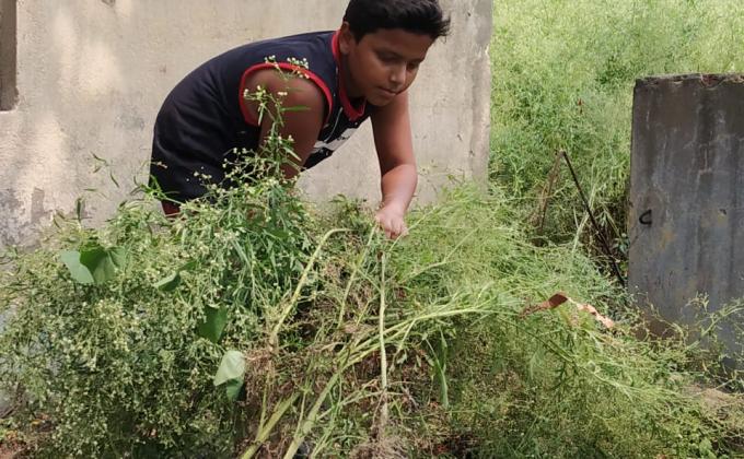 cleaning environment