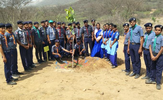 पर्यावरण दिवस पर रिजर्व क्षेत्र में पौधारोपण